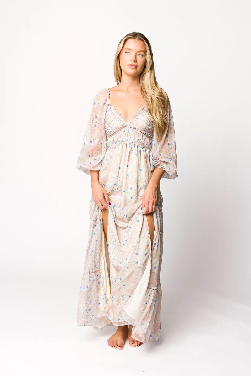 Daphne Long Sleeve Maxi Dress in Beige/Blue Floral - Bump Friendly & I | Worth Collective