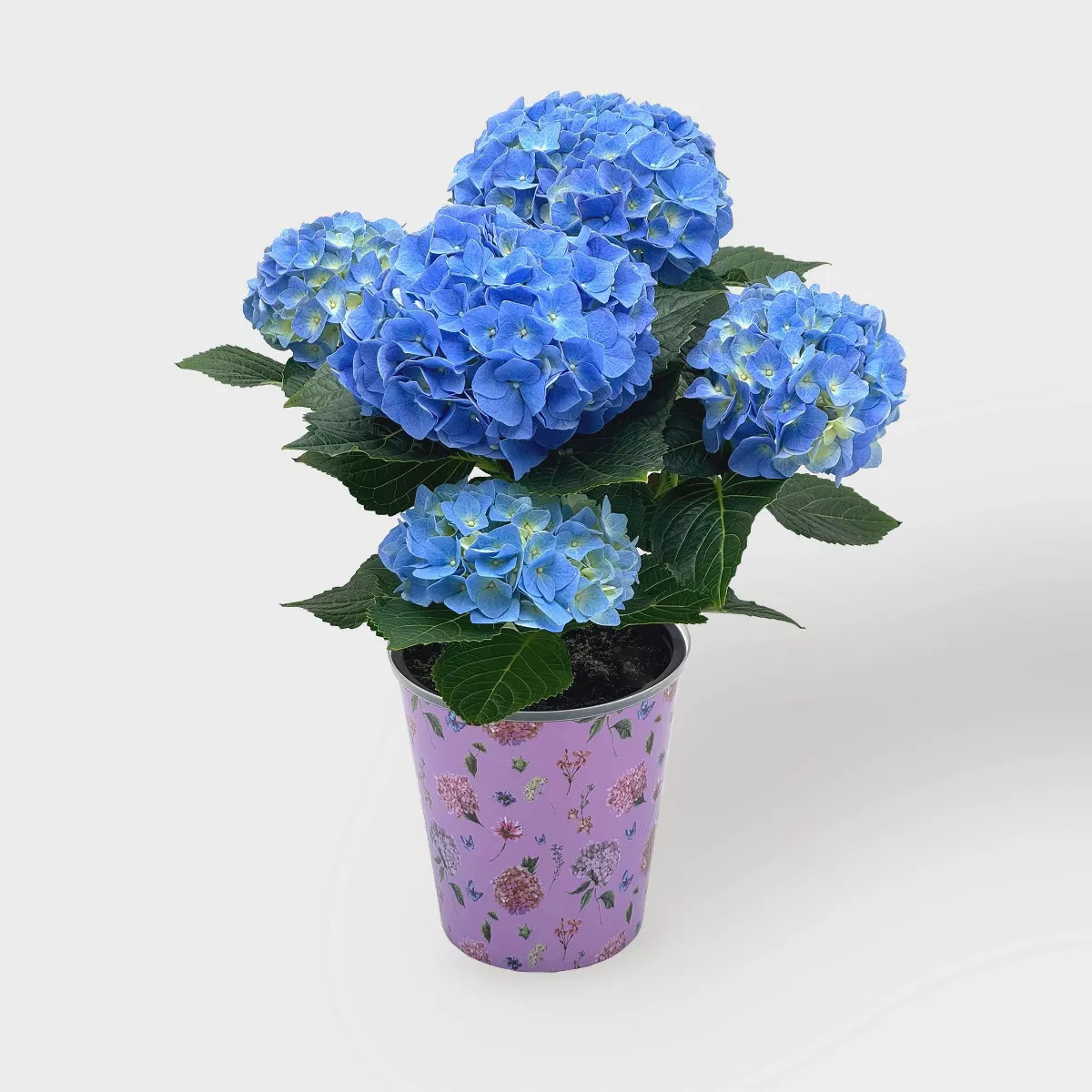 Shop all Good Little Garden | Target