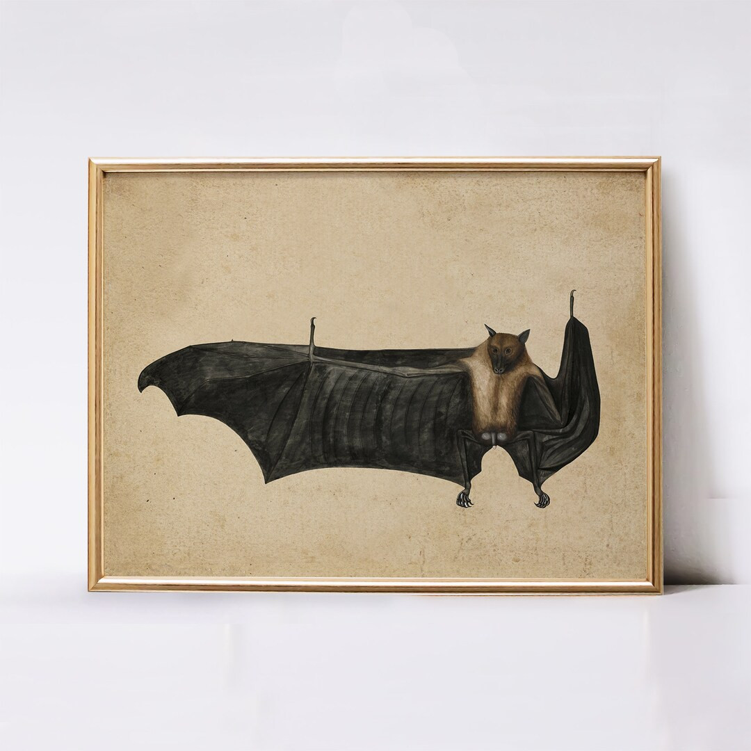Vintage Bat Painting Printable Wall Art Dark Academia Print Moody Halloween Wall Art Digital Down... | Etsy (US)