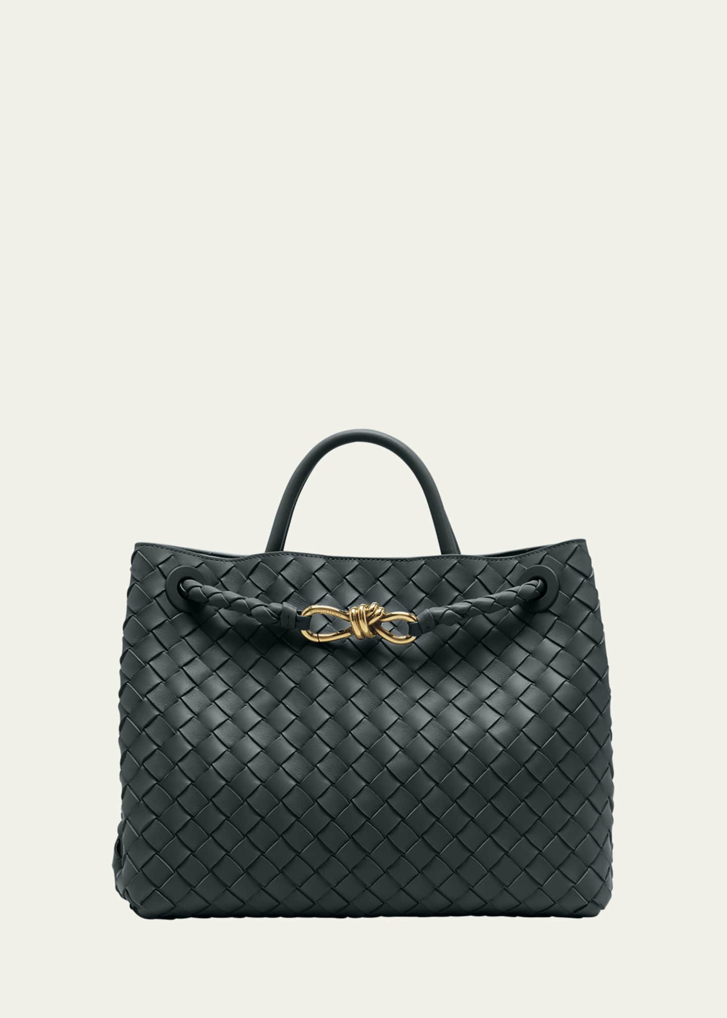 Bottega Veneta Medium Andiamo Bag | Bergdorf Goodman