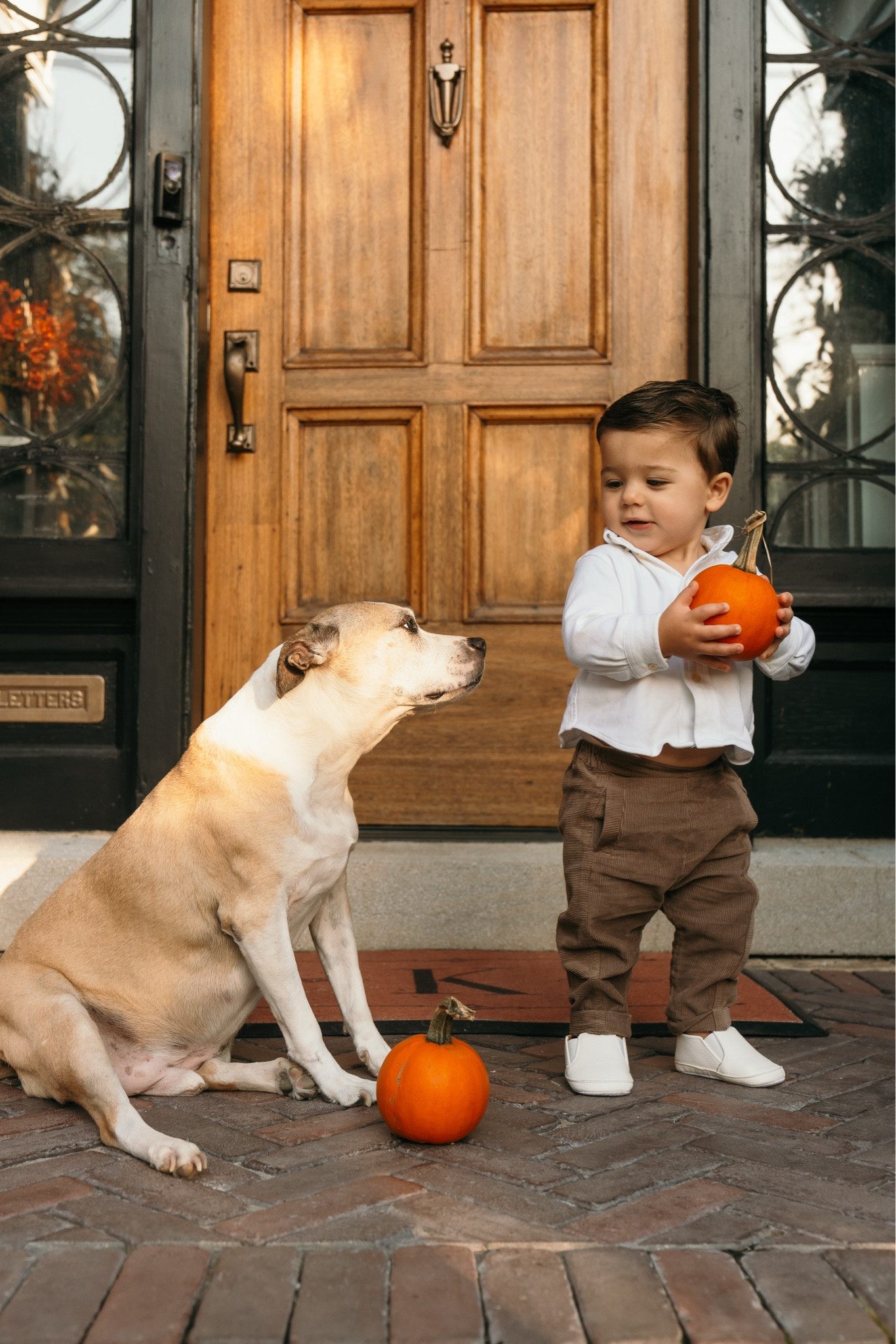 A moment between Walter and Conrad 🤎 C is in size 18 months. 

#LTKStyleTip #LTKHoliday #LTKBaby