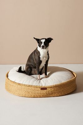 Bean Large Dog Bed | Anthropologie (US)