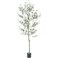 Bellacat 7ft Faux Quince Leaf Tree with Lifelike Leaves & Realistic Trunks, 84in Artificial Quinc... | Amazon (US)