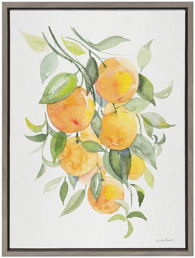 Kate and Laurel Sylvie Orange Citrus Framed Canvas Wall Art by Patricia Shaw, 18x24 Gray, Vibrant... | Amazon (US)