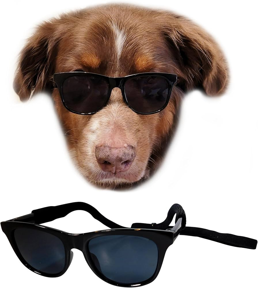 G006 Dog Medium breeds 20-40 lbs Pet Cat 80s Costume Prop Sunglasses (Black) | Amazon (US)