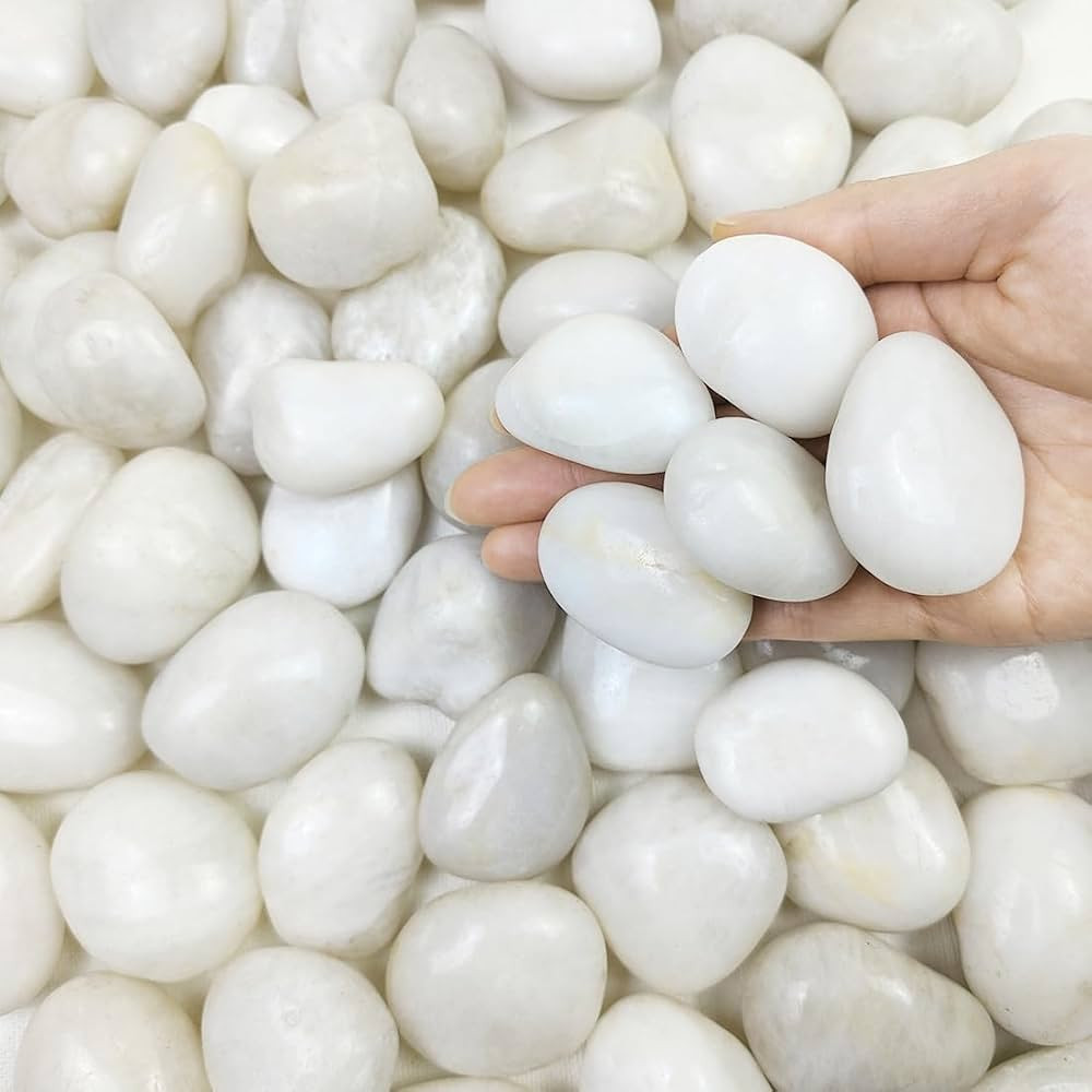 FANTIAN 5 lbs White River Rocks, Polished Pebbles for Indoor Plants, 1-2 inch Decorative White St... | Amazon (US)