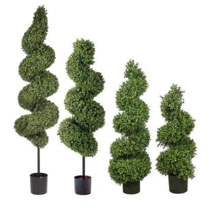 Spiral Outdoor Boxwood Topiary | Frontgate
