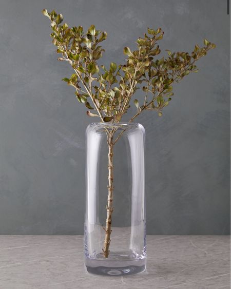 Lulu and Georgia Sale 25 percent off on site 🚨 #luluandgeorgia #vase #glass #decor #LtkSalealert #LTKfind #LTKU

#LTKSeasonal #LTKhome #LTKSpringSale