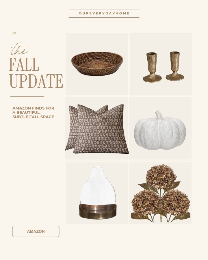 These are the perfect items for a quick fall update! #homedecor #amazonhome #fallhome

#LTKHome #LTKSeasonal