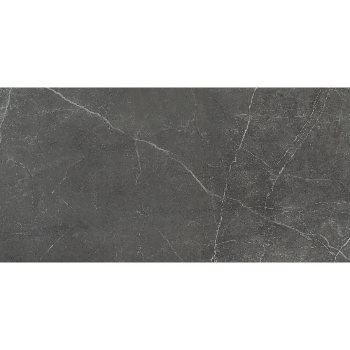 Sterlina II Silver 12 in. x 24 in. Polished Porcelain Floor and Wall Tile (15.5 sq. ft./Case) | Wayfair North America