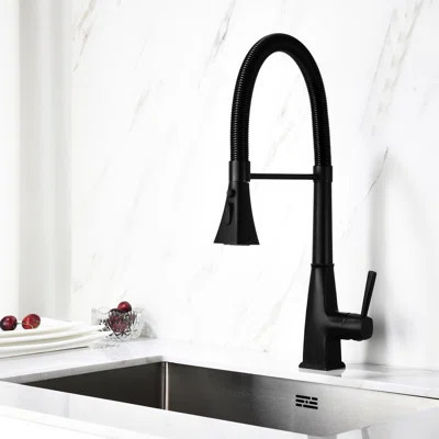 Matte Black Kitchen Faucet With Pull-Down , Stainless Steel Body, Corrosion Treatment, 360 Rotating Nozzle For Simple Water Reach Structure, Dirt- Coa | Wayfair North America