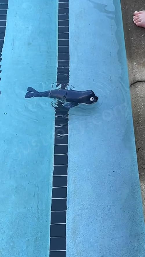 This amphibious RC toy seal swims in water and crawls on land—making it a fun, rechargeable pick for summer play. Waterproof, USB-C charging, and perfect for kids 3–12.

#LTKCreator #summerfun #RCToys #pooltoy #giftideasforkids #amphibioustoy #kidsgadgets 

 