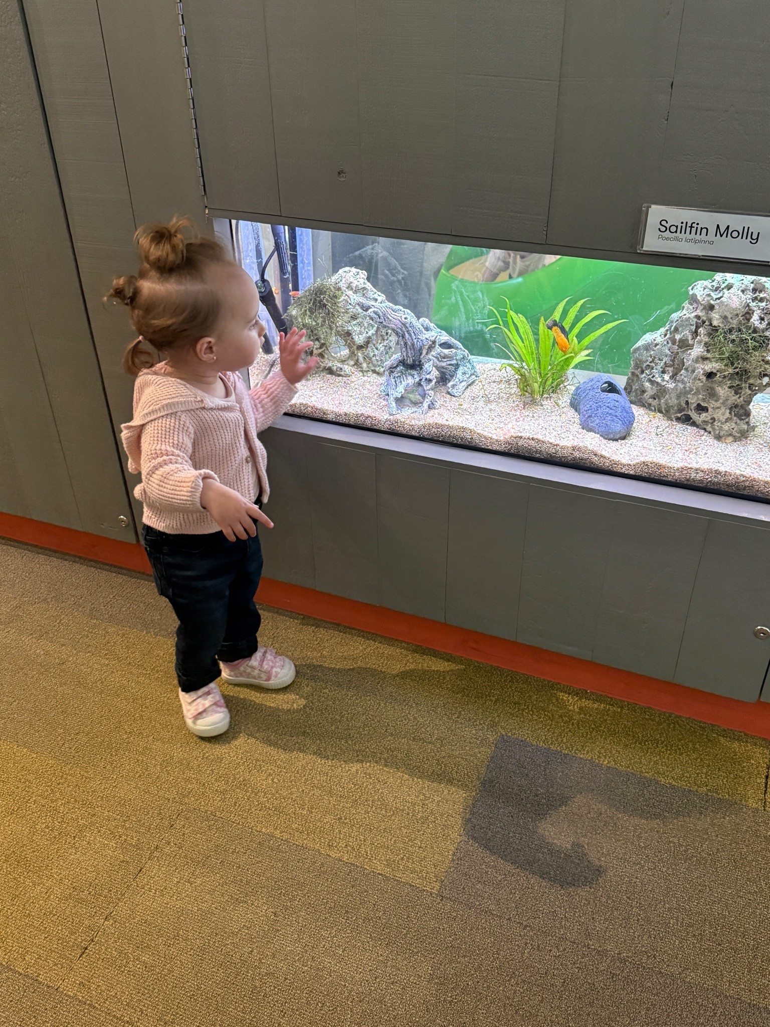 First play date outfit at the Aquarium always making sure that she is wearing her Dyper

#LTKdayinmylife #LTKmomlife #LTKKids
