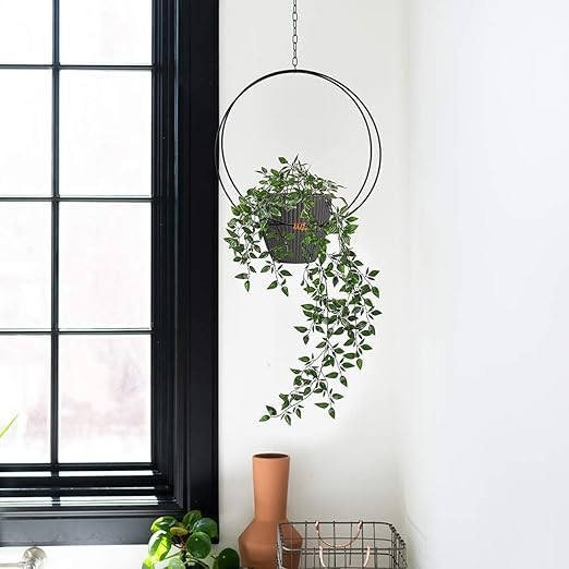 6 Inch Plastic Planters Indoor Set of 5 Flower Plant Pots Modern Decorative Gardening Pot with Dr... | Amazon (US)