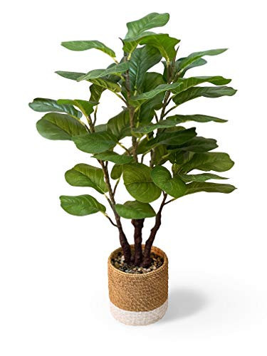 GreenBoxx 35" Artificial Fiddle Leaf Fig Tree Faux Plant - Green Fake Boho Ficus Plants - 45 Leaves Large Cement Pot for Home Decor, Office, Store, Indoor/Outdoor Natural Floor Trees Fake Plant | Amazon (US)