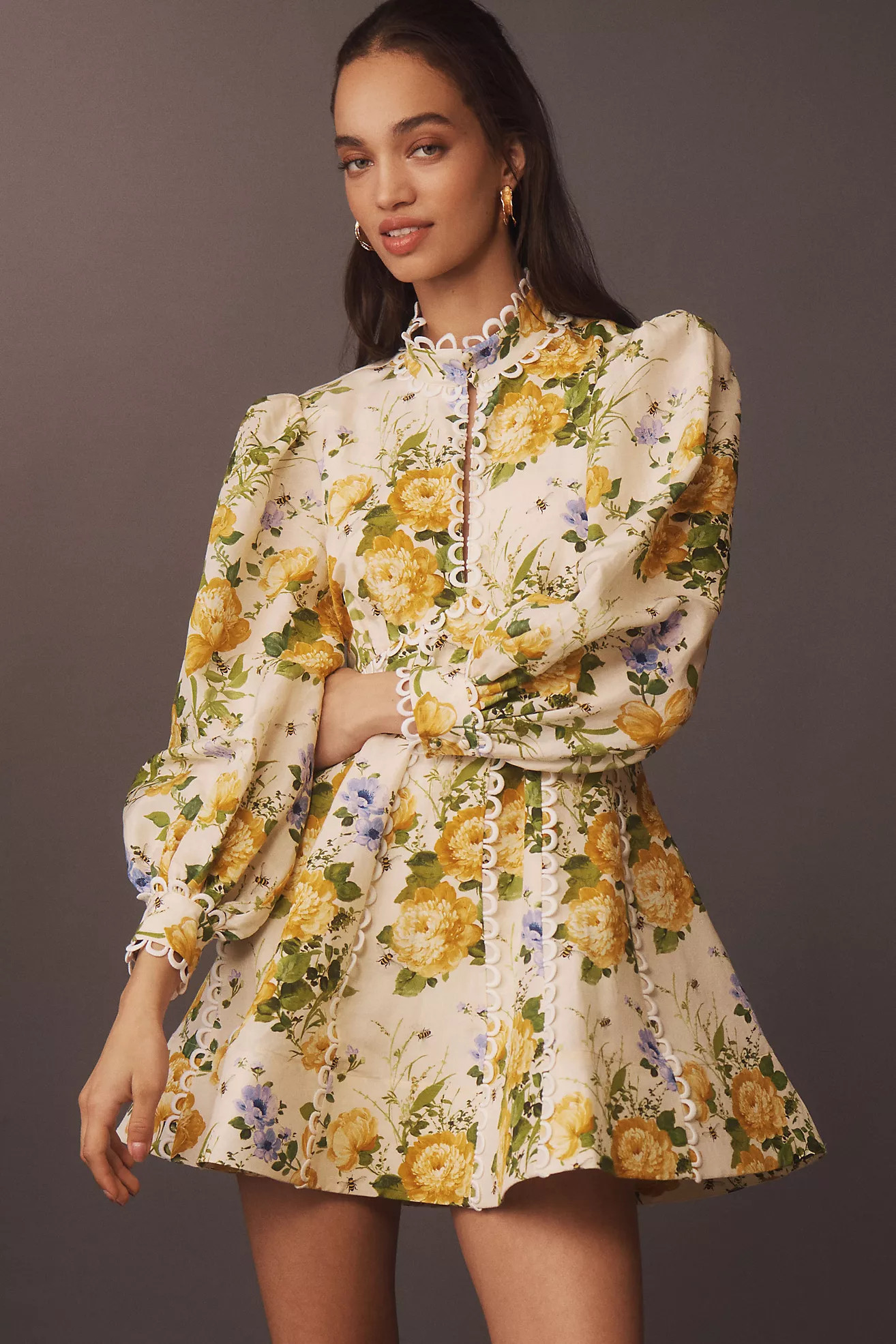 BHLDN Kali Long Sleeve Linen Fit & Flare Dress | Anthropologie (US)
