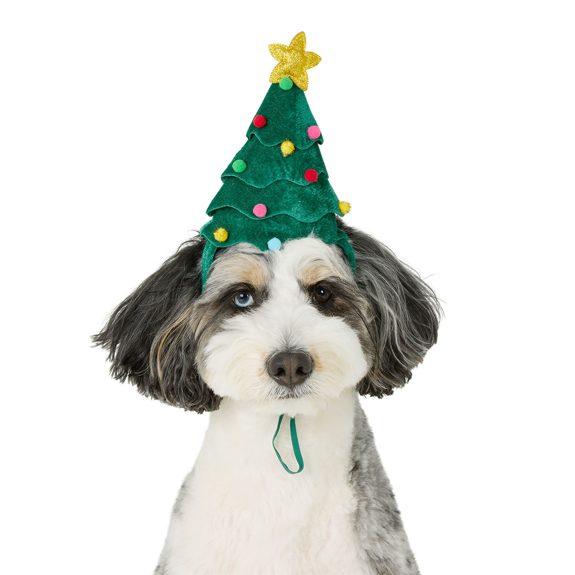 Merry & Bright® Tree Headband | PetSmart