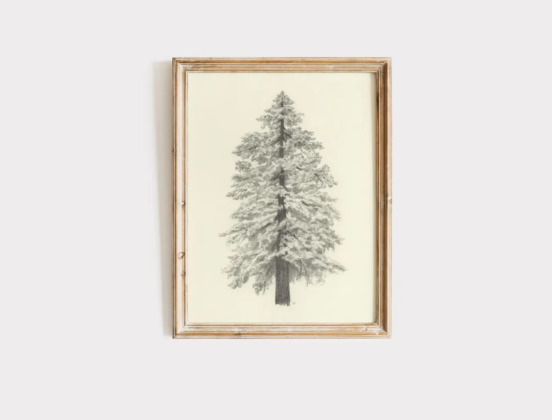 Pine Tree Sketch Print: Vintage Style Neutral Wall Art | Etsy (Global)