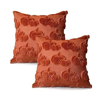 Booque Valley Fall Decorative Pillow Covers Set of 2 18"x18" Soft Plush Faux Fur Wool 3D Rust Pum... | Amazon (US)