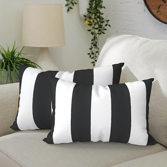 DYTXIII Pack of 2 Waterproof Outdoor Lumbar Pillow with Inserts, 12x20 in Rectangle Decorative Pa... | Amazon (US)