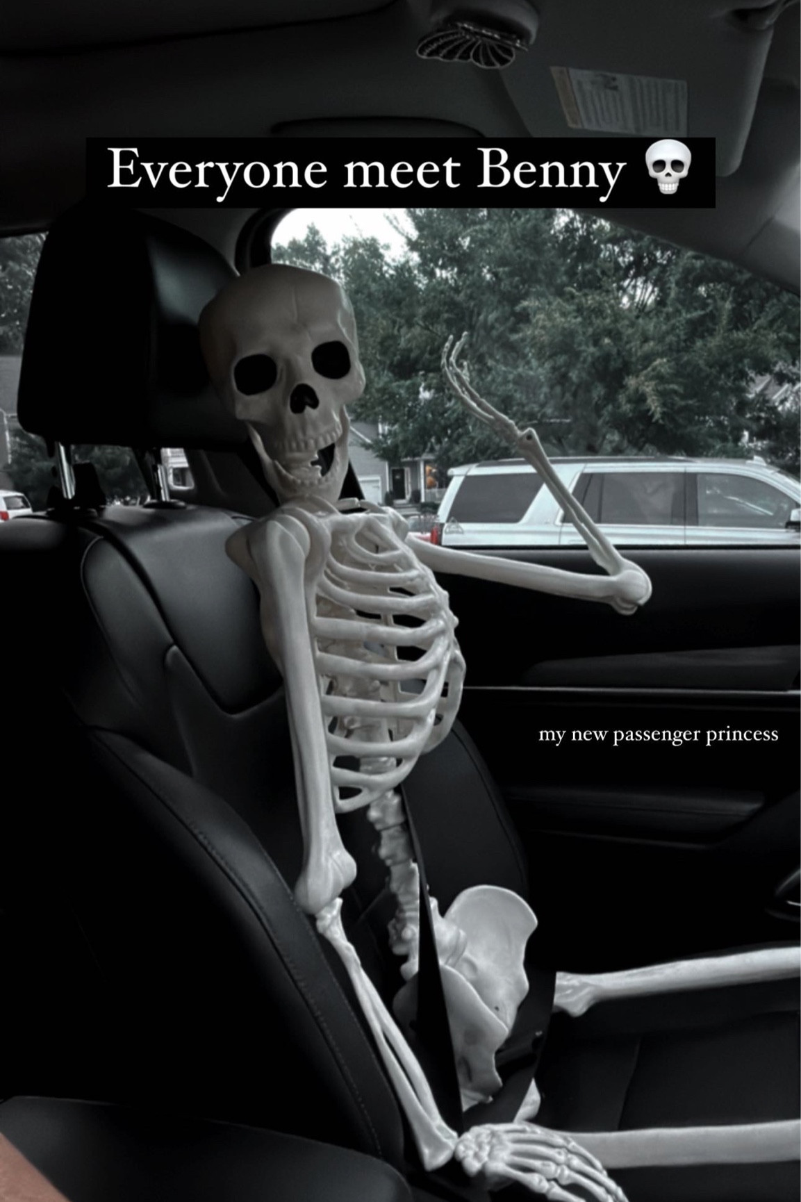 Benny… The passenger princess 💀 I have had so many people wave or point at him! Everyone I park next to compliment how much they love him! 

#halloween #skeleton #halloweendecor 

#LTKhome #LTKHalloween #LTKSeasonal
