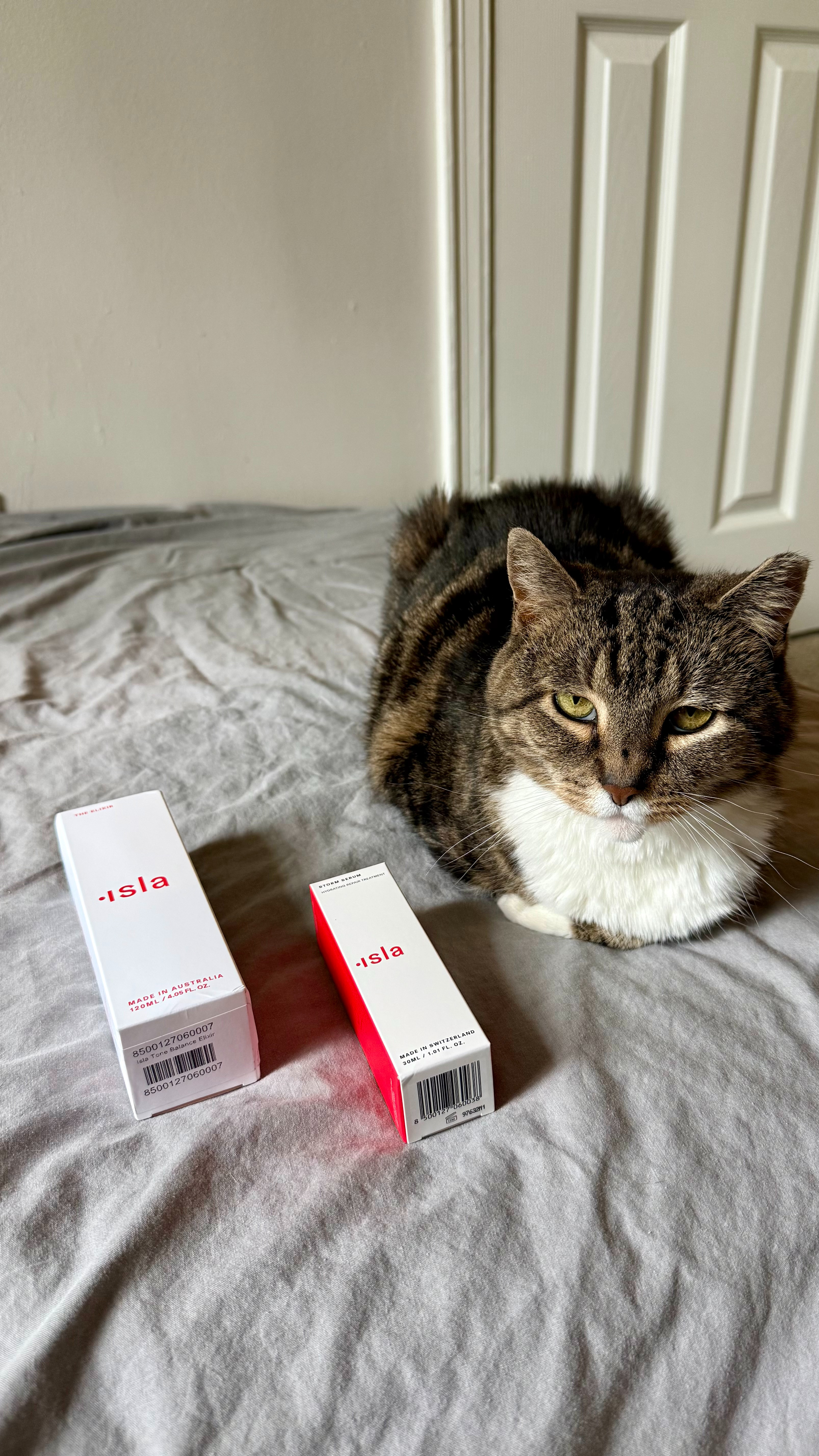 Well, at least one of us is happy about this restock... 

 #LTKmorningroutine #LTKselfcare #LTKBeauty