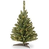 National Tree Company Pre-lit Artificial Mini Christmas Tree | Includes Pre-strung White Lights and  | Amazon (US)