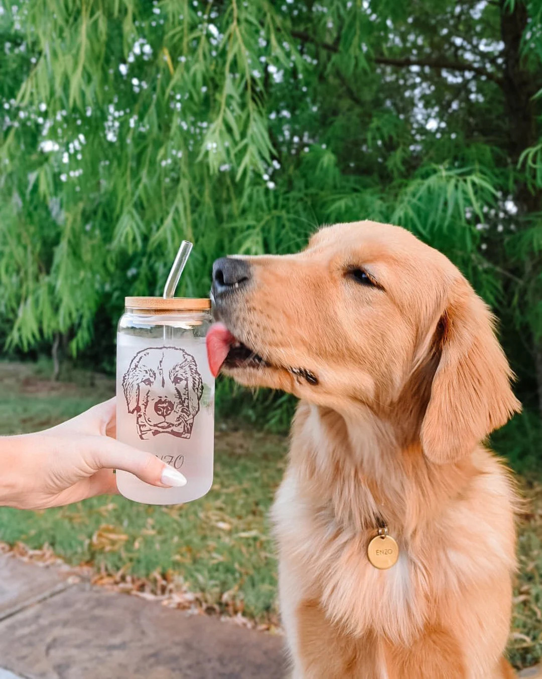 Custom Pet Portrait Clear Glass Cup| Custom Dog Mom Cup| Custom Pet portrait| Custom Pet Gift| Pe... | Etsy (US)