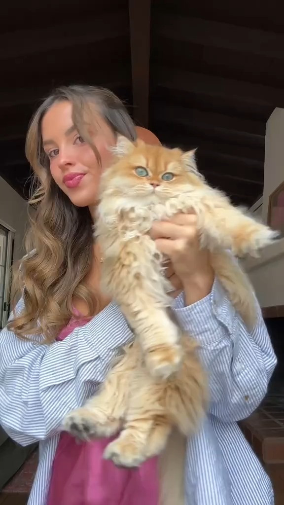   

 #LTKWatchNow #LTKStyleTip #LTKBeauty