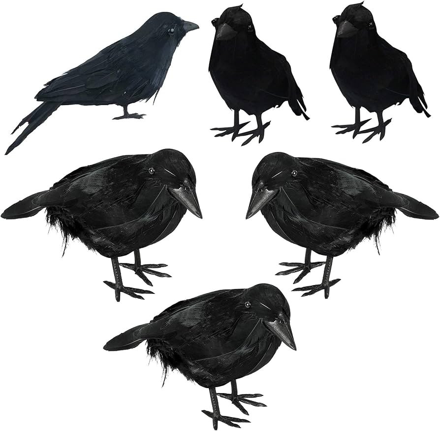 Halloween Crows Set of 6, Lifelike Black Feathered Birds, Realistic Handmade Raven Prop for Outdo... | Amazon (US)