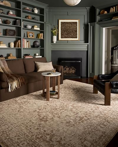 Loloi II Newman Collection NEW-02 Bark/Natural 5'-3" x 7'-6", .37" Pile Height, Area Rug | Amazon (CA)