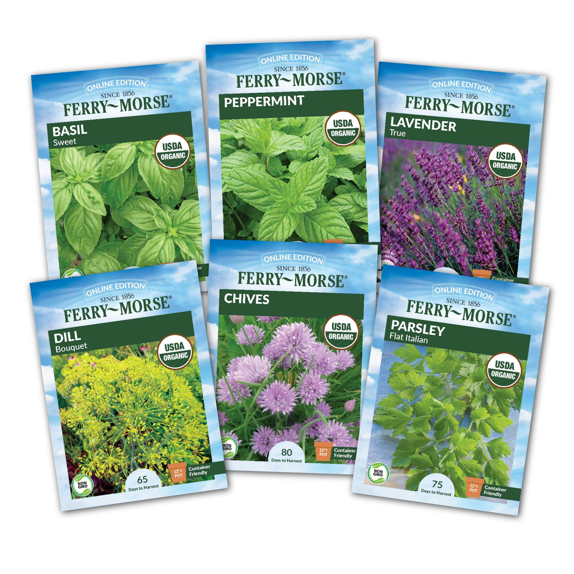 Ferry-Morse Ferry Morse Kitchen Herb Organic Seed Variety Pack 6 Pack one_size | KIT-ENV-KITCHERB | Lowe's