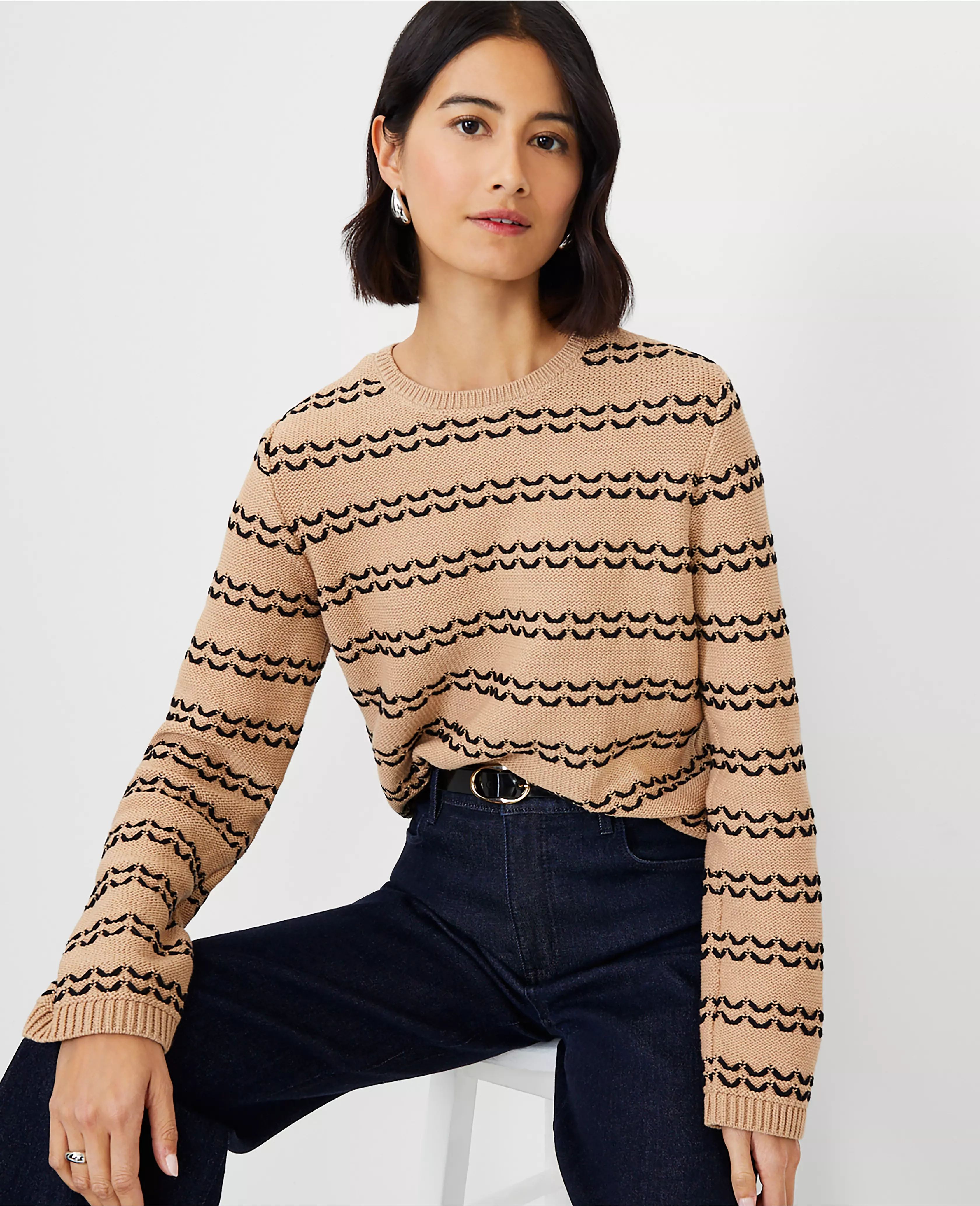 Geo Stripe Stitch Sweater | Ann Taylor (US)