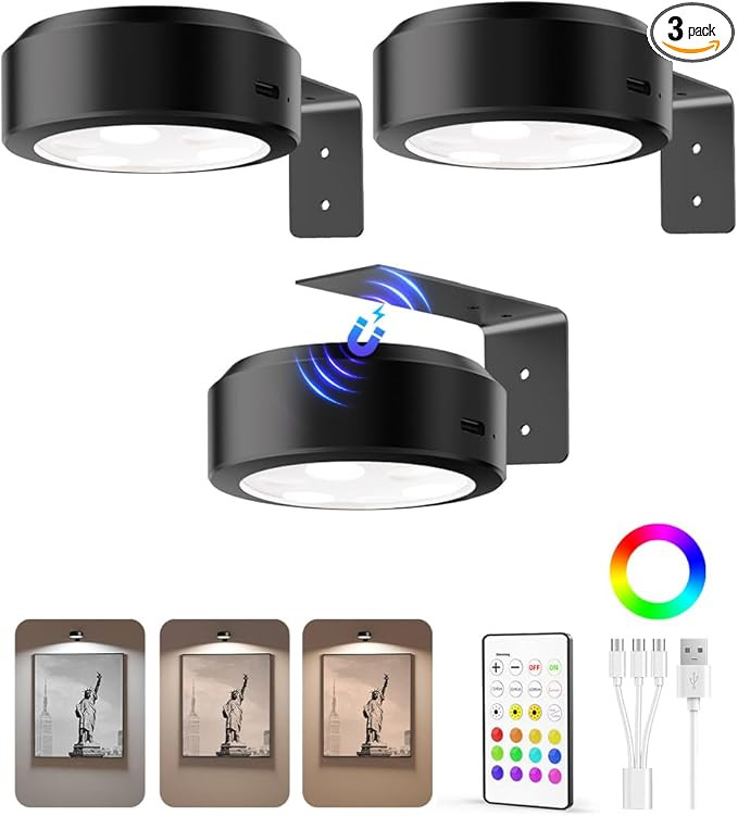 EZVALO Picture Lights for Wall, 2000mAh Rechargeable Battery Magnetic Poster Lights with 3 Color ... | Amazon (US)