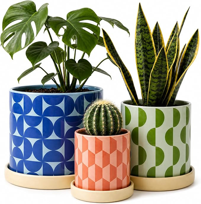 Ceramic Plant Pots - Flower Pots with Drainage Hole & Saucer, Handmade Flower Vase, Colorful Deco... | Amazon (US)