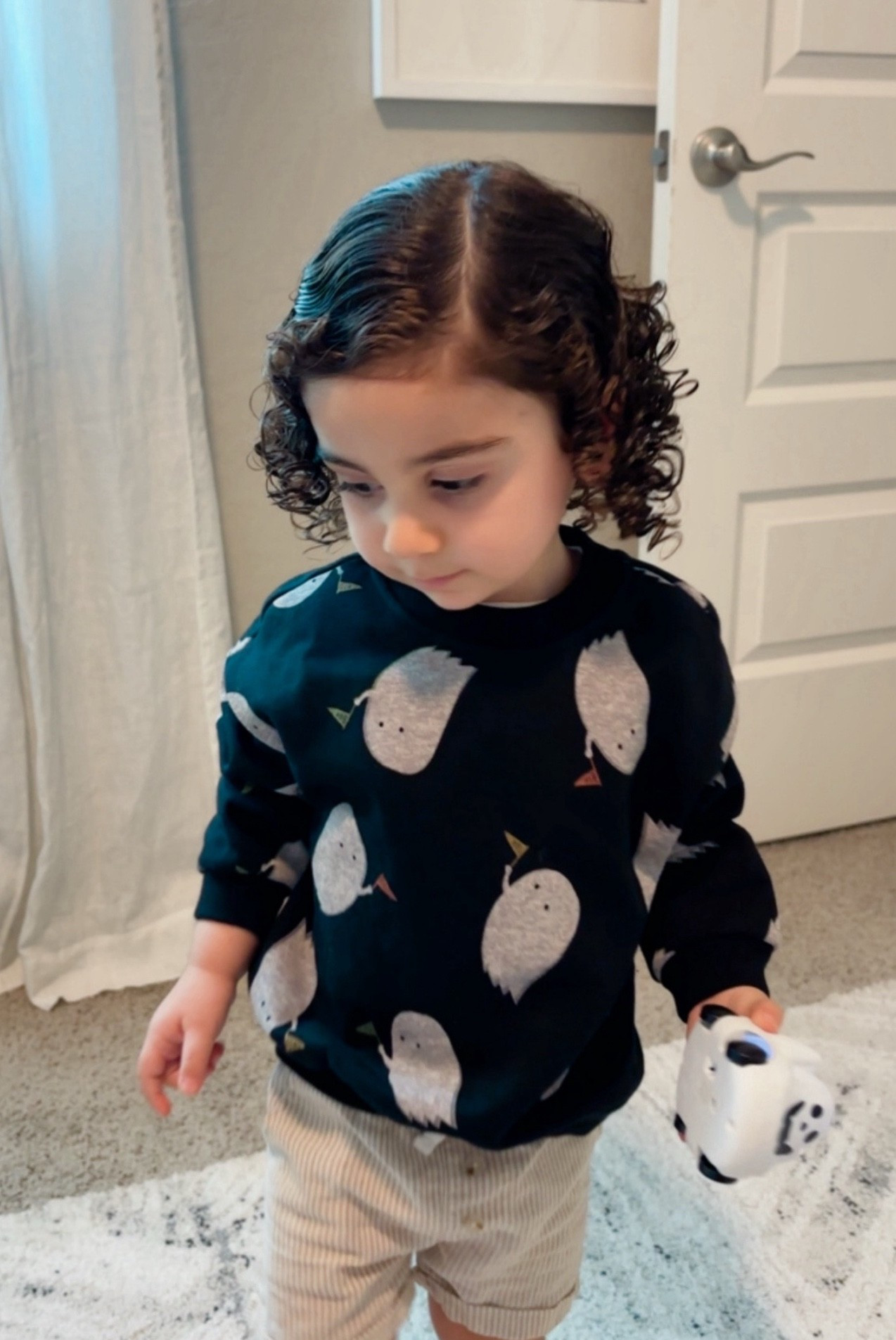 wears 2T  

#gapkids #toddlerfashion #toddlerkids #gapfactory #halloweensweatshirt #halloween #toddlerstyle #ghostsweatshirt #toddlerboy #boobasket #gapsale #toddlerfinds #seasonal #toddlersweatshirt #gap #babyboy #toddleroutfits #toddlerfallstyle 

#LTKSeasonal #LTKKids #LTKHalloween