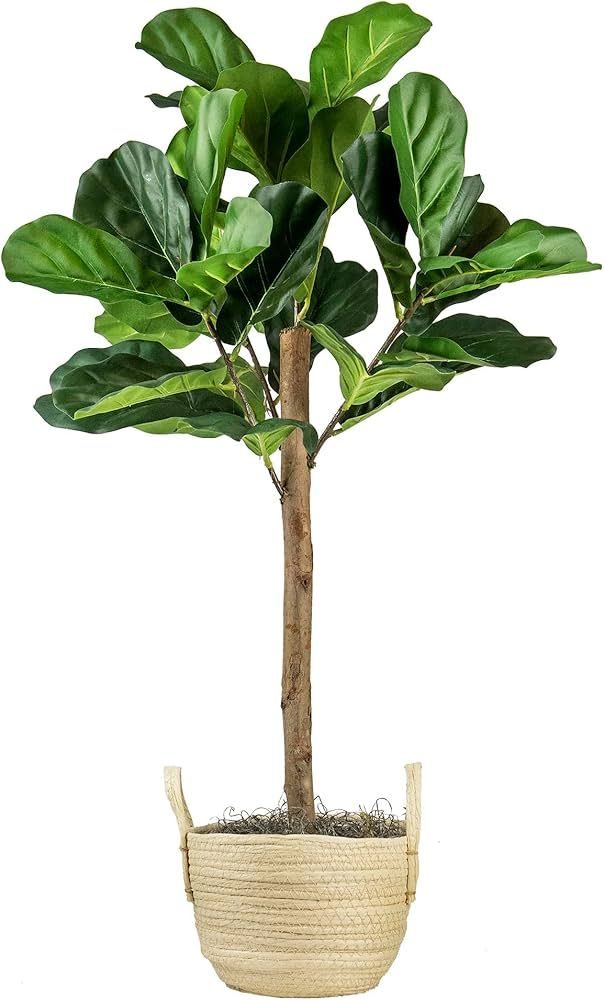 Artificial Fiddle Leaf Fig Tree 3FT Faux Indoor Floor Tree in Woven Basket - Fake House Plant and... | Amazon (US)