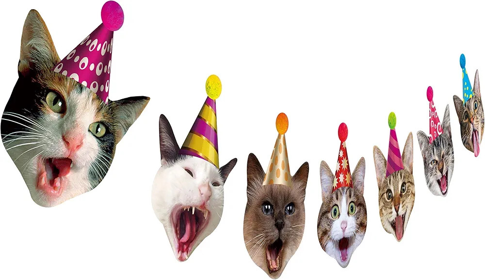 Birthday Cat Garland, Photographic Cat Faces Birthday Banner, Kitties Bday Party Bunting Decorati... | Amazon (US)
