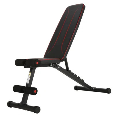 Weight Bench For Home Gym, 660lbs Fast Foldable Workout Bench Press For Home Gym Full Body Strength Training, 8 Adjustable Backrests Incline/flat/decl | Wayfair North America