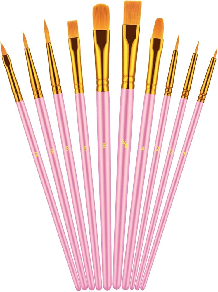 Paint Brush Set, 10 Pcs Paint Brushes for Acrylic Painting, Round Pointed Tip Detail Small Paint ... | Amazon (US)
