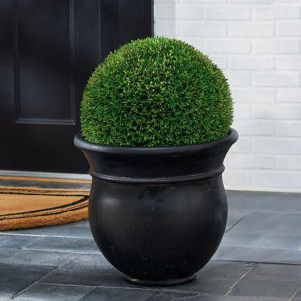 Zara Pot Planter | Grandin Road