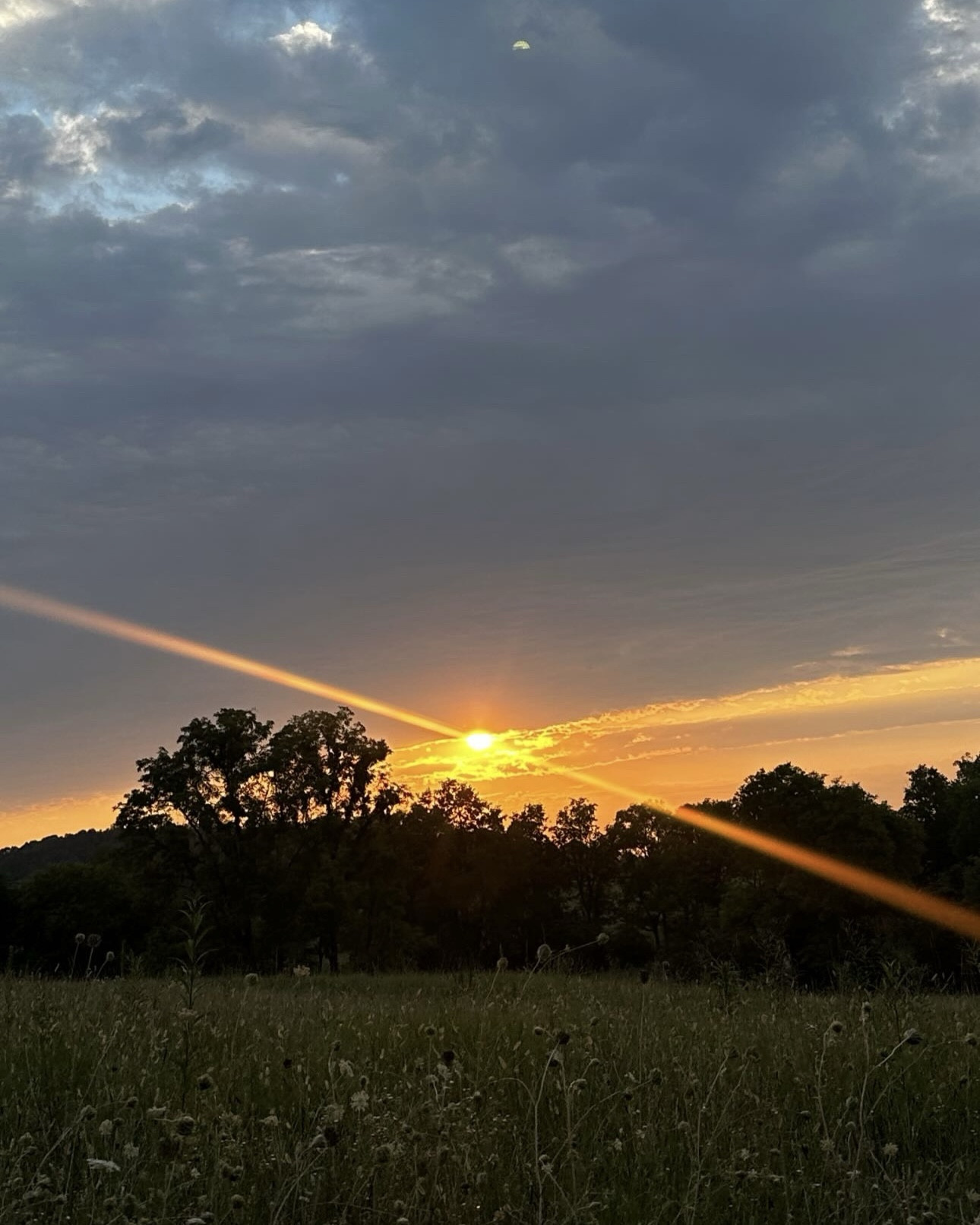 🪴👩🏼‍🌾🧺🌾🍃

#LTKHome #LTKWorkwear