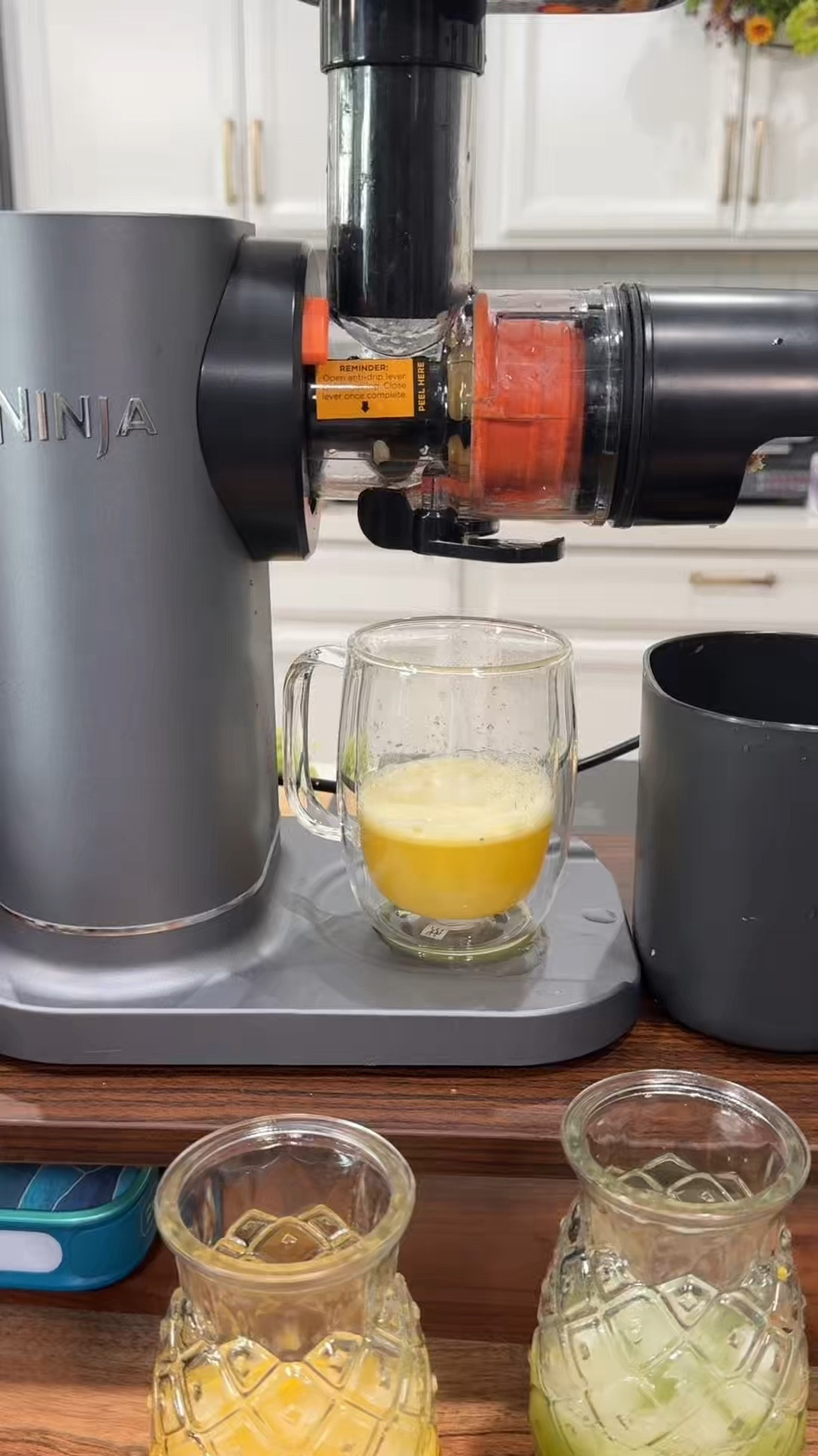 Compact cold press juicer. Space-saving juicer for fresh juice anytime. 

#LTKfoodie #LTKHome #LTKmorningroutine