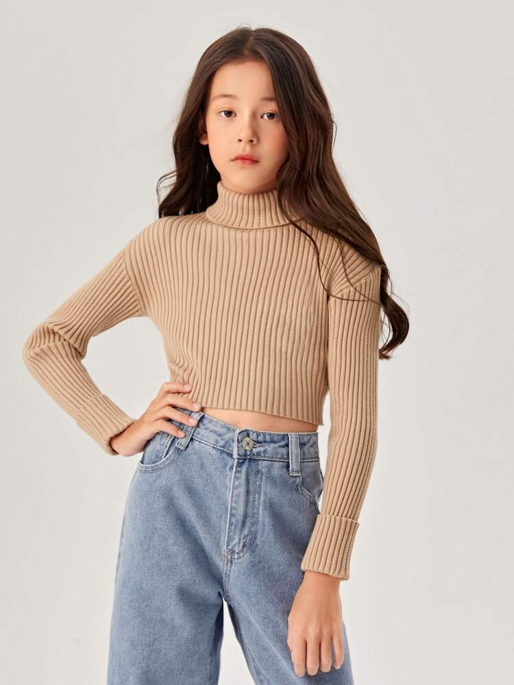Girls Turtleneck Drop Shoulder Crop Sweater | SHEIN