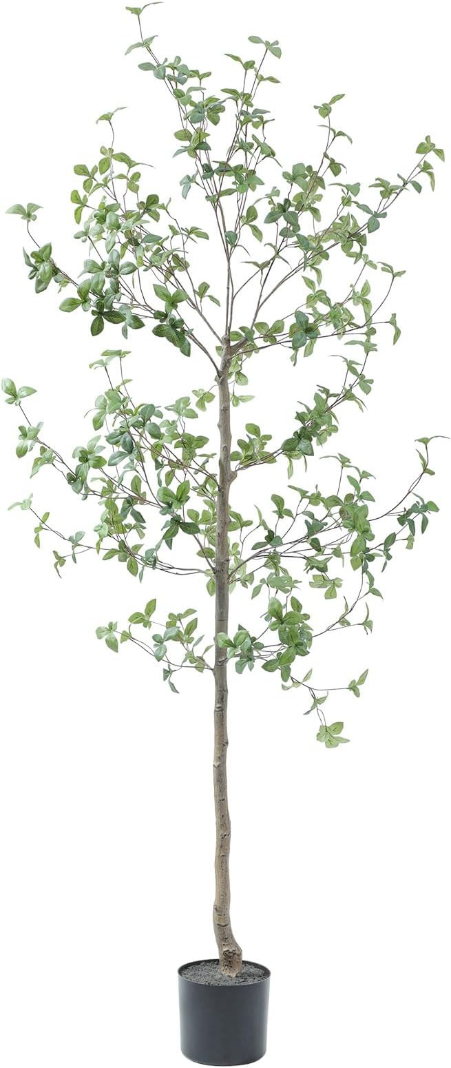 Bellacat 6ft Faux Quince Leaf Tree with Lifelike Leaves & Realistic Trunks, 72in Artificial Quinc... | Amazon (US)