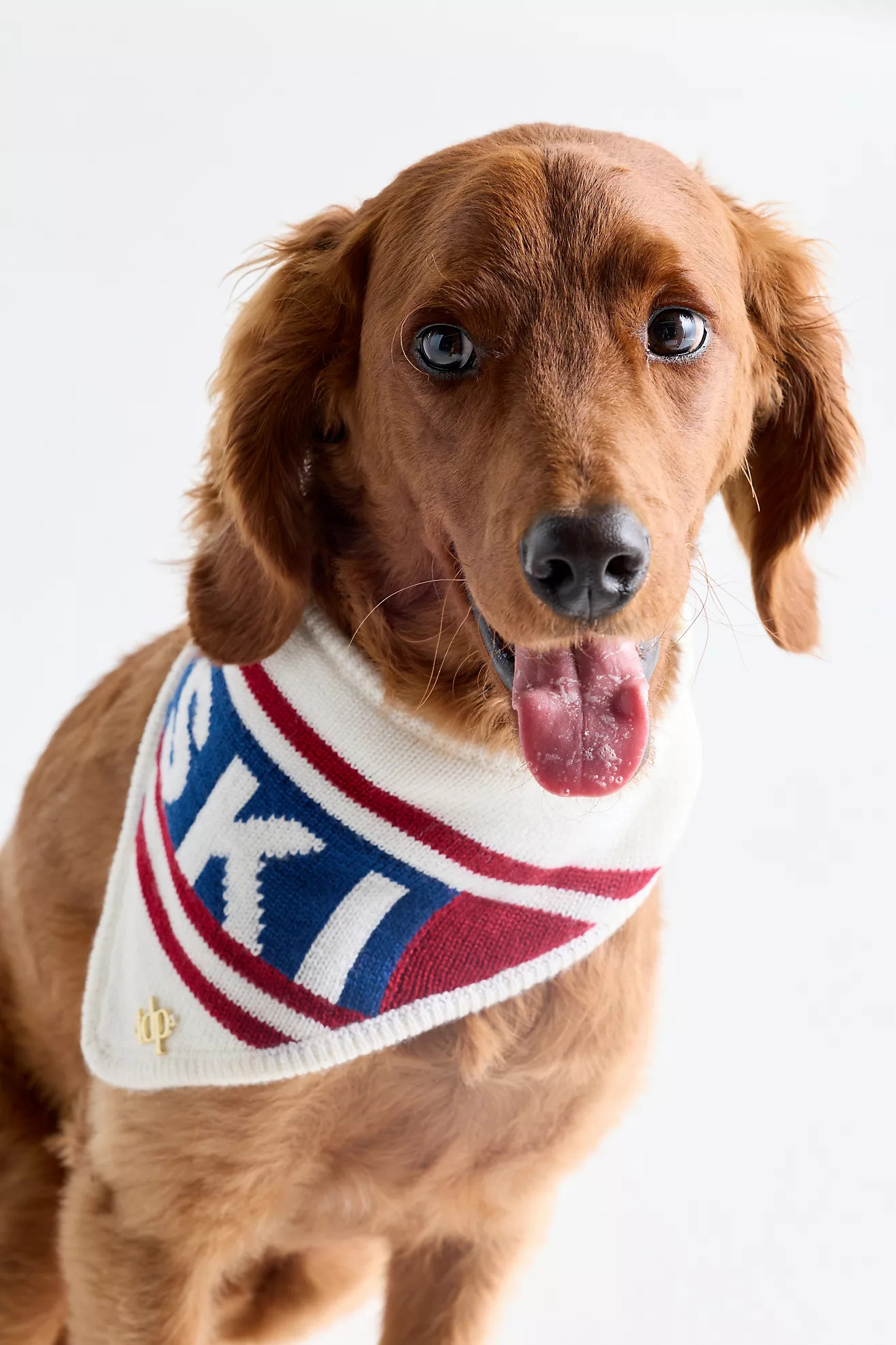 The Deluxe Pup Holiday Knit Pet Bandana | Anthropologie (US)