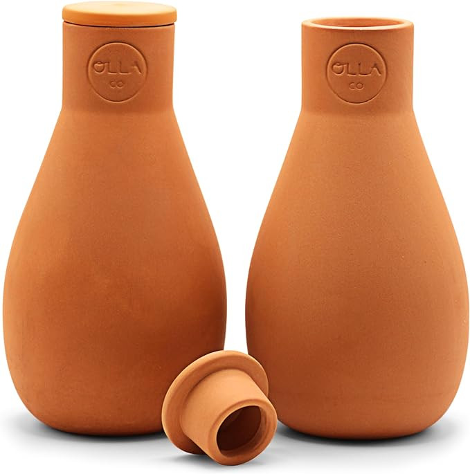 Classic Olla Watering Pot with Lid - Terracotta Self Watering Irrigation up to 1 ft in Diameter f... | Amazon (US)