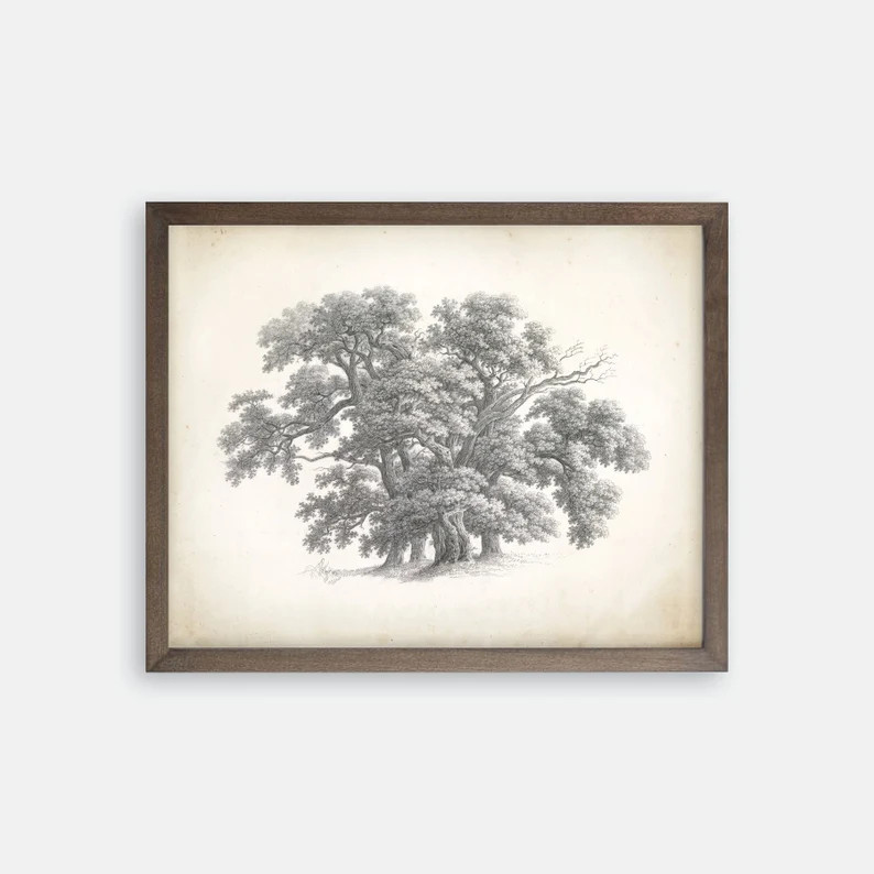 Vintage Tree Print. Great Oak Tree Drawing. Vintage Art. | Etsy | Etsy (US)