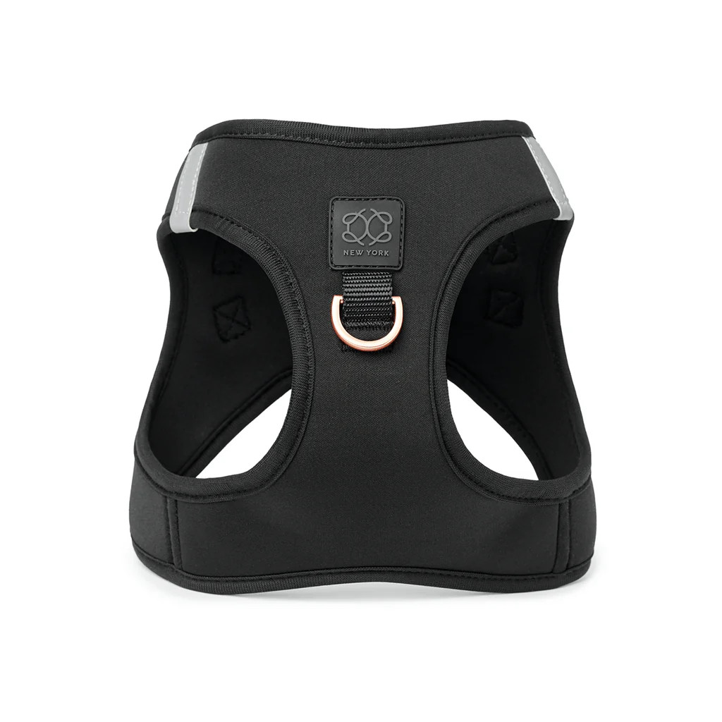 SoHo Dog Harness - Black | DOGISTRY