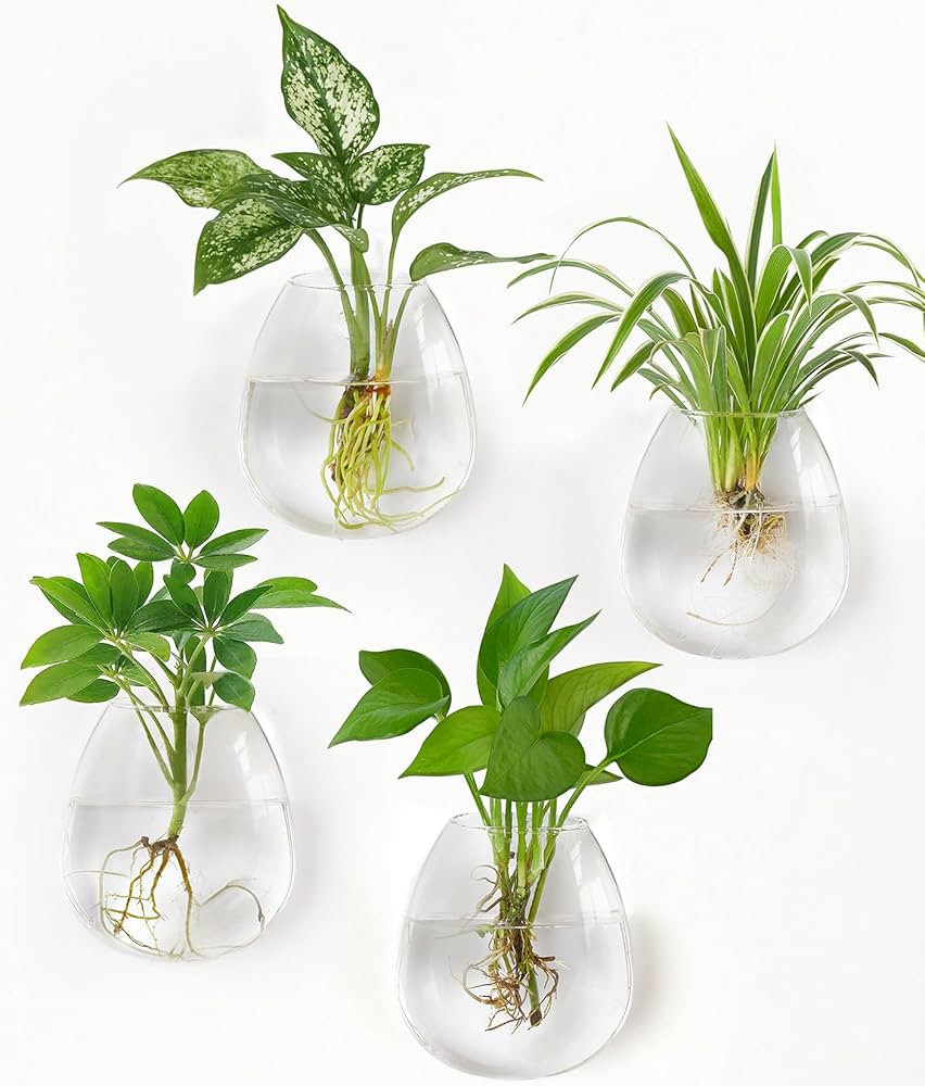 Dahey Propagation Stations Wall Hanging Planters Glass Wall Mounted Vases Oblate Terrarium for Fl... | Amazon (US)